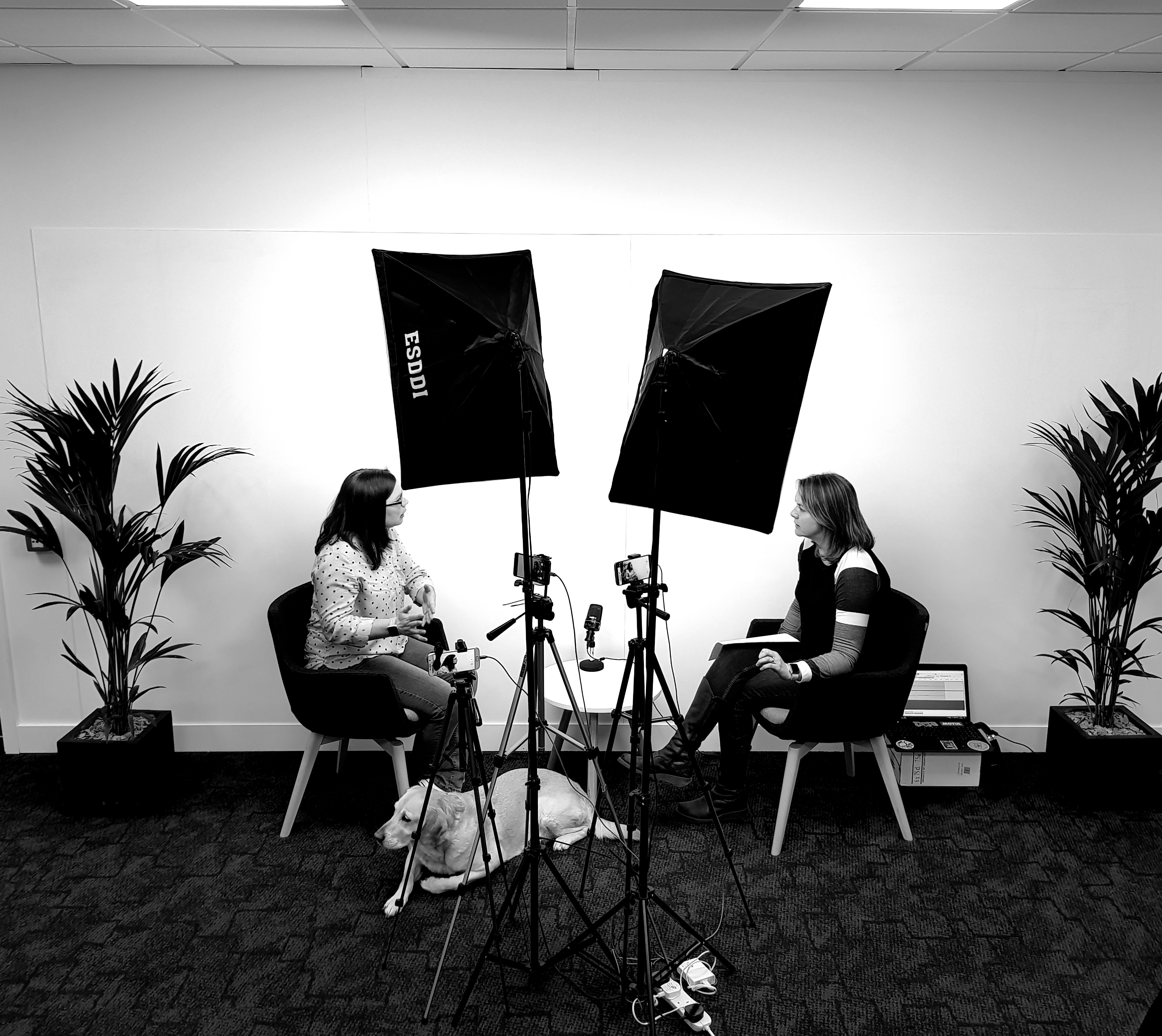 A black and white photo of two women sat facing across from each other. There is a dog at the feet of the woman on the left. There are camera lights shining on them and tall plants to the side of each of them.