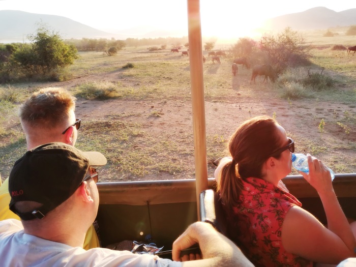 Three white people sat in a van looking out on to an African plain of antelope